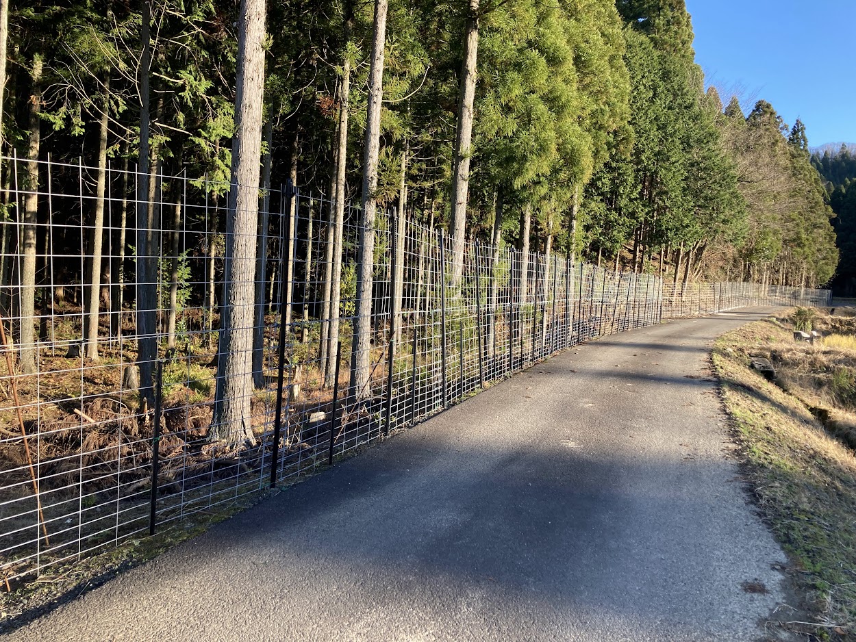 ワイヤーメッシュ